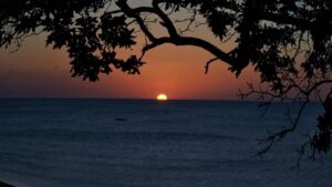 Read more about the article Pantai Neam Kupang: Destinasi Wisata Eksotis yang Menawan