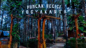 Read more about the article Puncak Becici: Pengalaman yang Nggak Bisa Aku Lupa