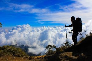 Read more about the article Gunung Papandayan: Petualangan Seru dan Pelajaran Berharga dari Puncak Jawa Barat