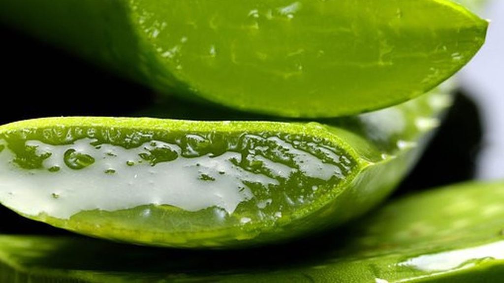 Gel Lidah Buaya