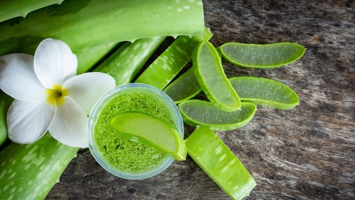 You are currently viewing Gel Lidah Buaya: Manfaat, Cara Pakai, dan Tips Memilih yang Terbaik
