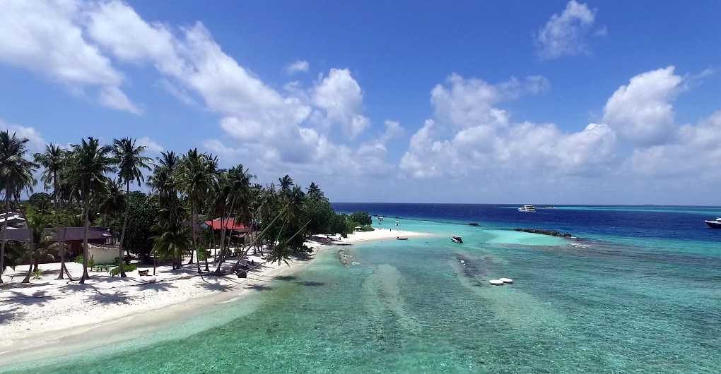 Budaya Lokal dan Kehidupan Masyarakat