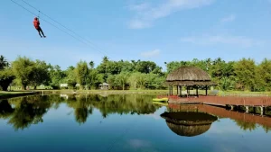 Read more about the article Kampung Ladang: Harmoni Alam dan Kehidupan Sederhana