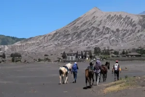 Read more about the article Gunung Bromo: Pesona Alam yang Mengguncang Jiwa di Tengah Lautan Pasir