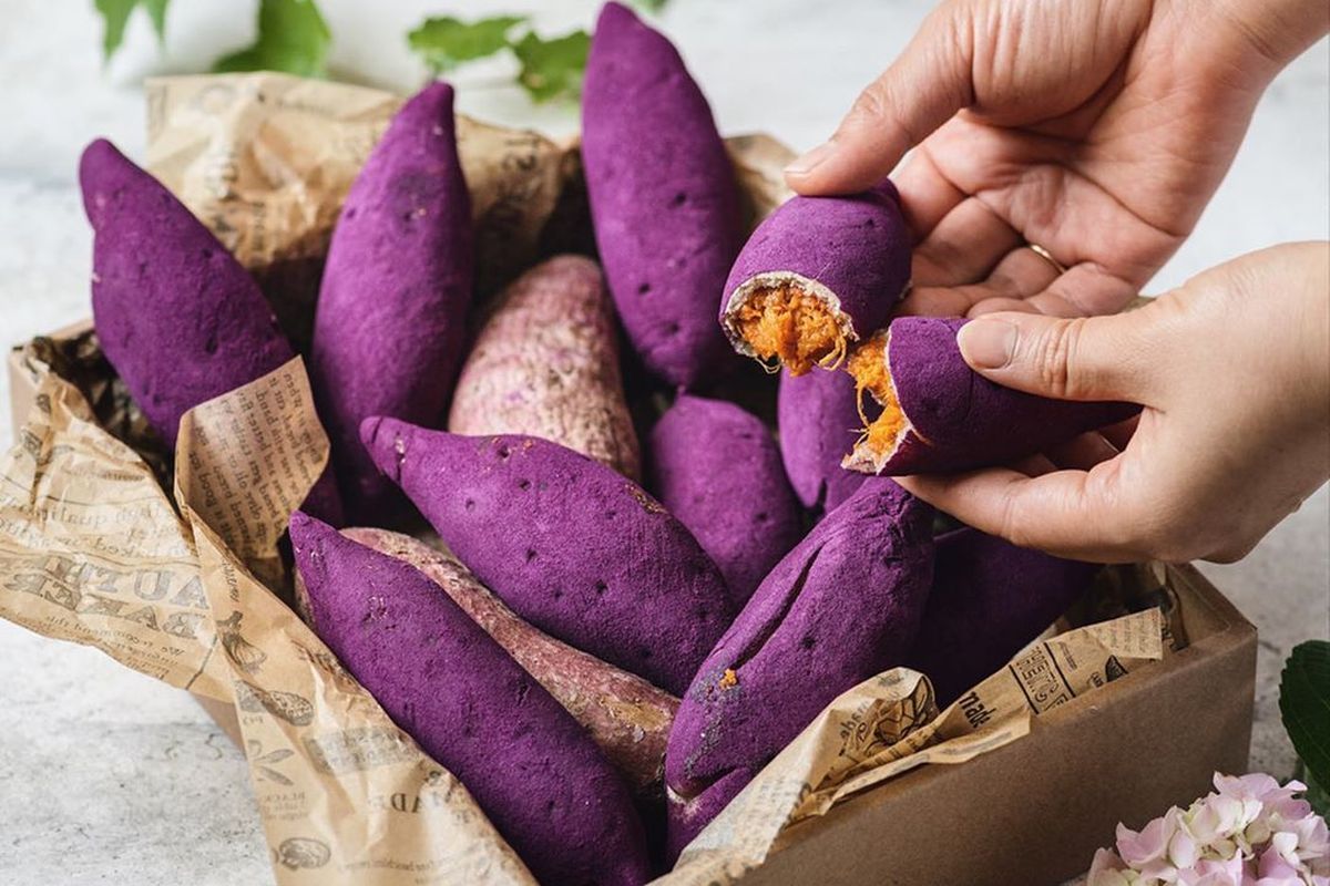 You are currently viewing Roti Ubi Keju Korea, Sensasi Lembut dengan Perpaduan Manis Gurih yang Menggoda Selera